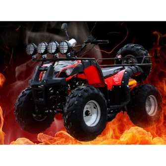 Four Wheel Beach Off-road All Terrain Motorcycle